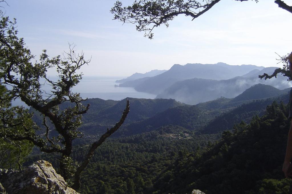 Mar I Vent Otel Banyalbufar Dış mekan fotoğraf